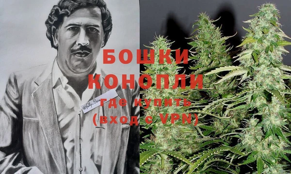 дурь Алексеевка