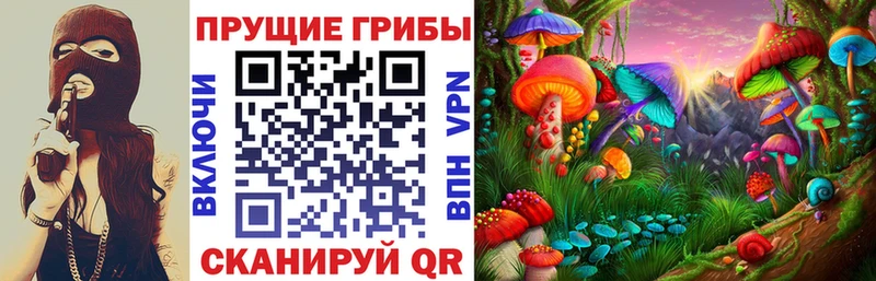 Псилоцибиновые грибы Psilocybe  Чаплыгин 